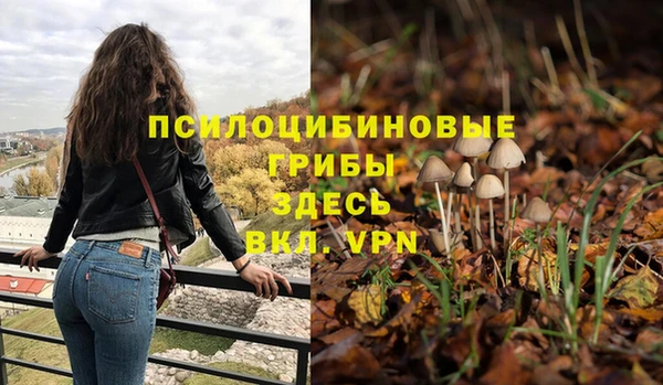 mdma Медвежьегорск