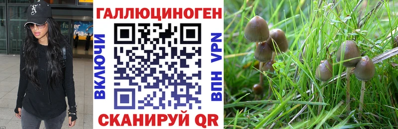 kraken ссылки  Пойковский  Галлюциногенные грибы ЛСД  купить наркотики сайты 