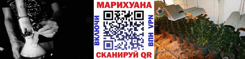 Канабис семена  мега tor  Пойковский  закладка 